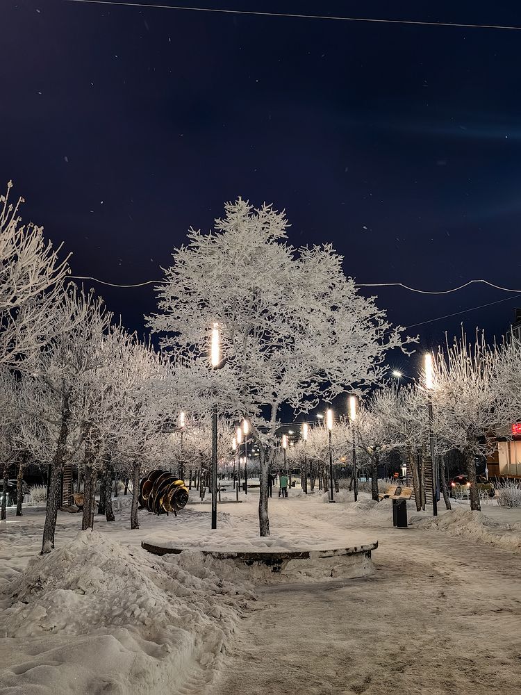 Photograph by Ellina Ksendzyuk