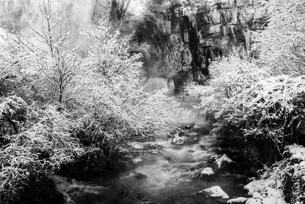 Photograph by Antea Miloloza