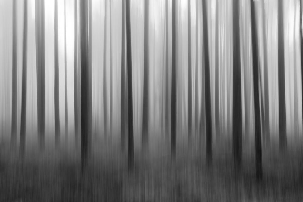 Photograph by Илья Юфа