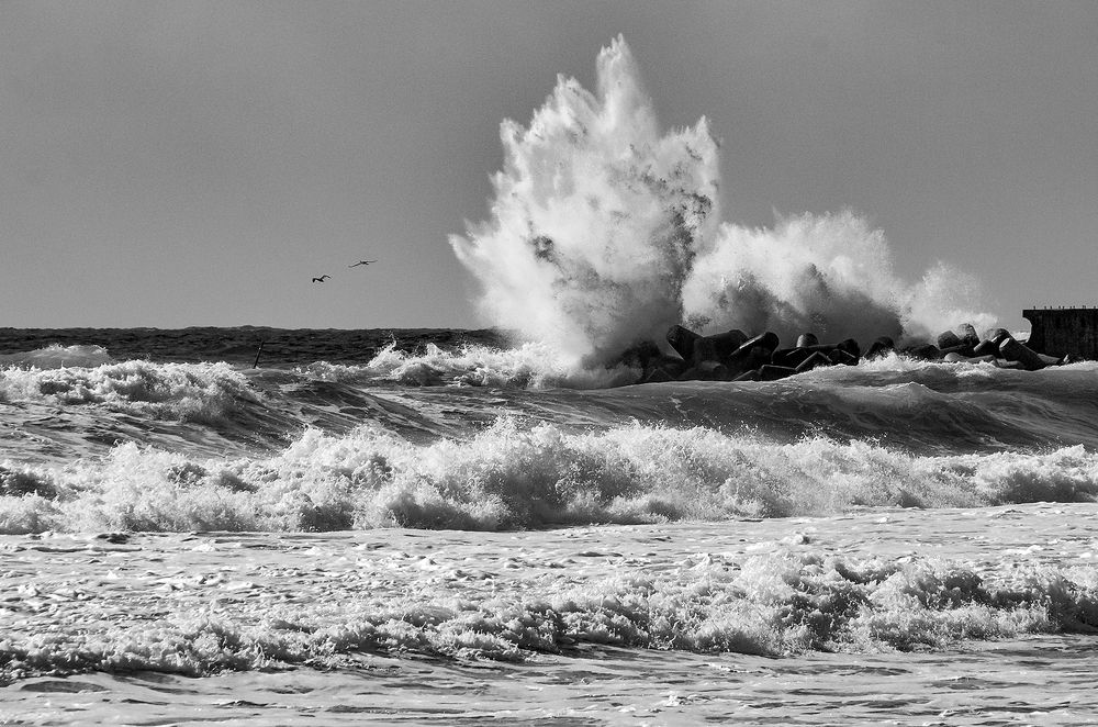 Photograph by Алексей Окунеев