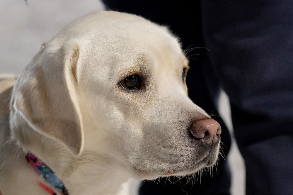 Photograph by Алексей