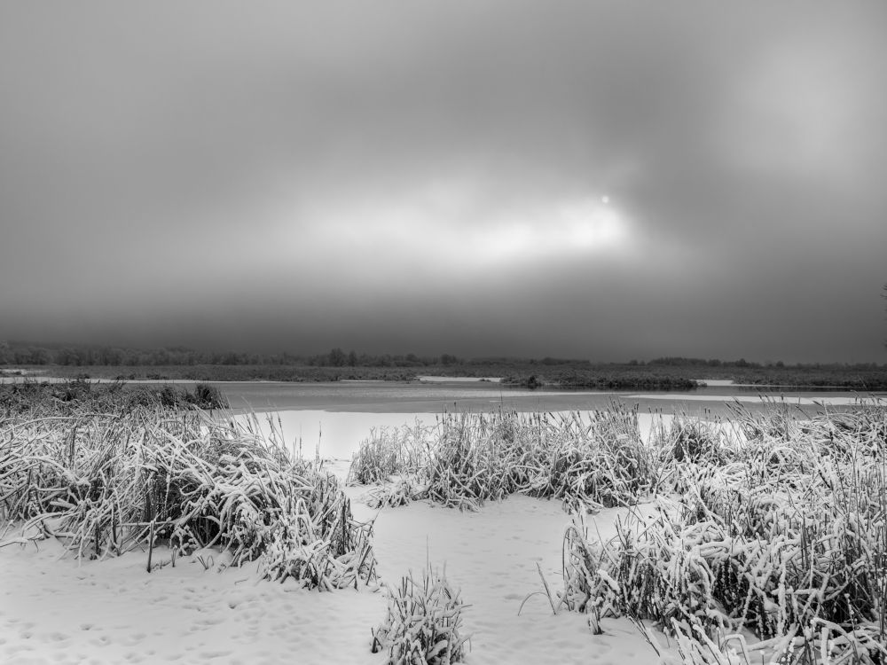 Photograph by Сергей Степанов