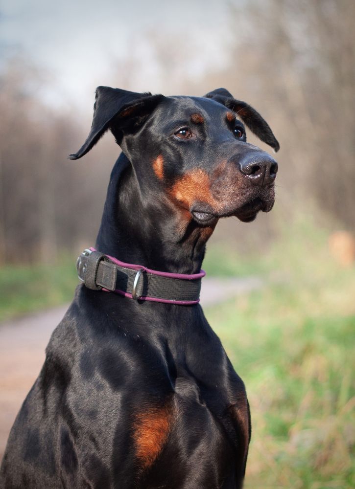 Photograph by Елена Иванова