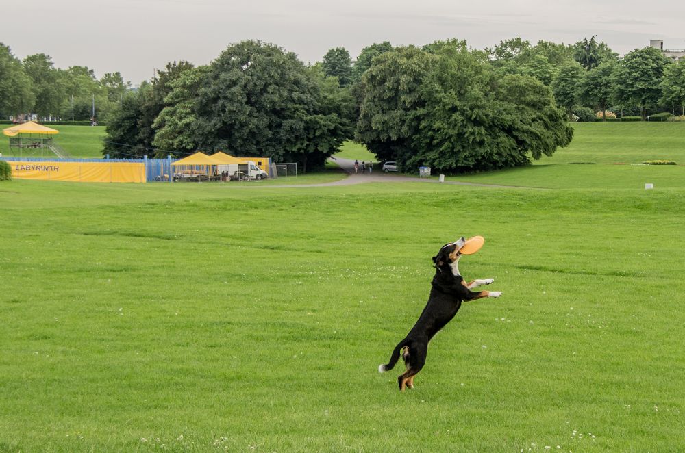 Photograph by ihsan ilze