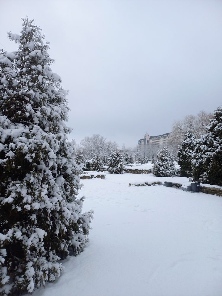 Photograph by Людмила Сотникова