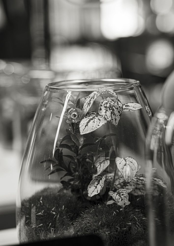 Photograph by Виктор Саврей