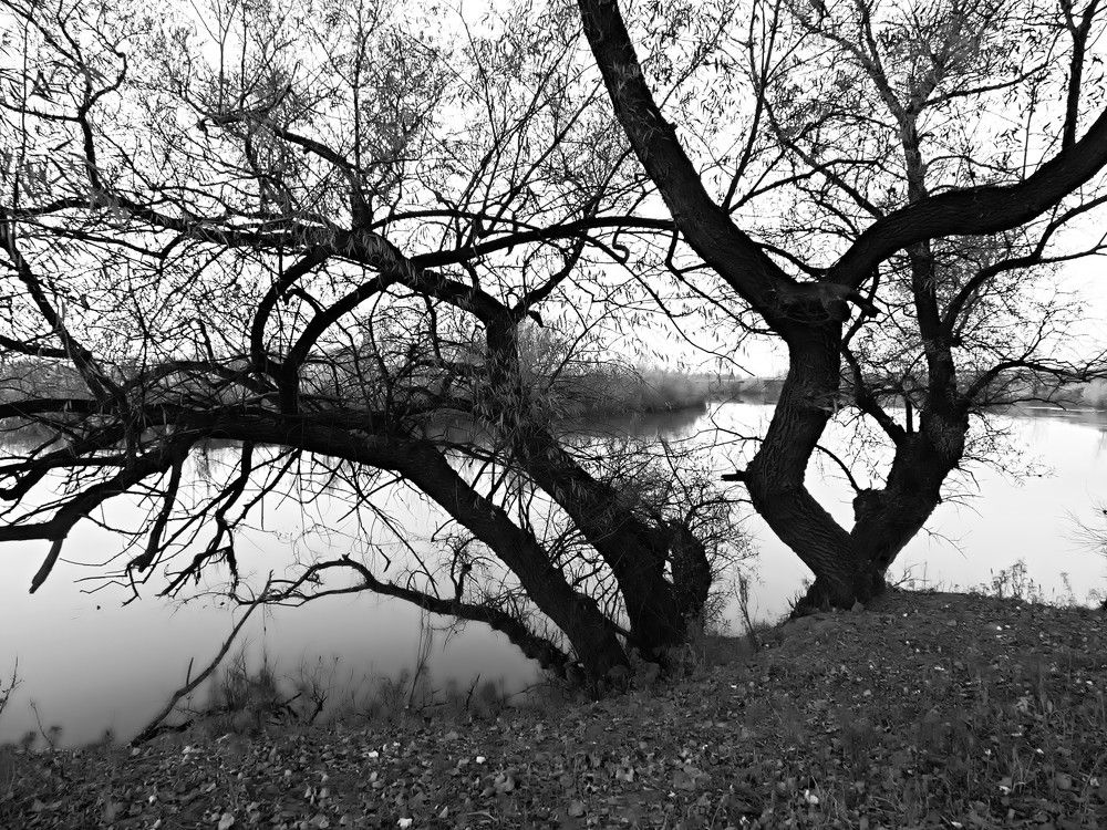 Photograph by Андрей Куприенко