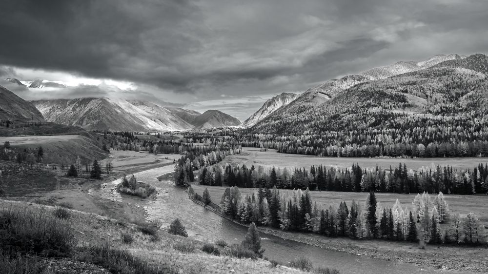 Photograph by Devender Mark