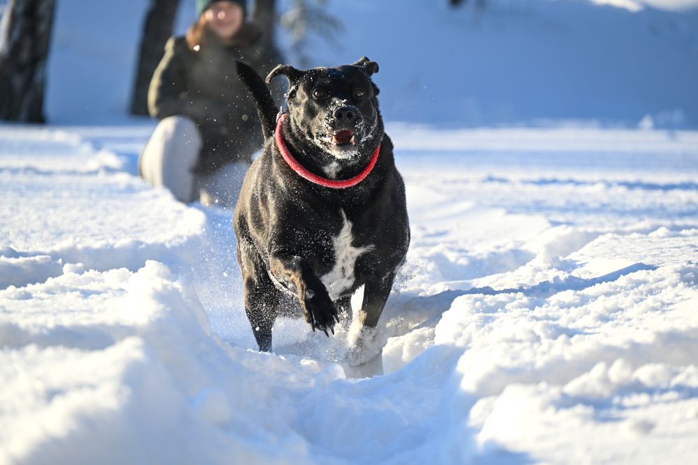 Photograph by Олег Басманов