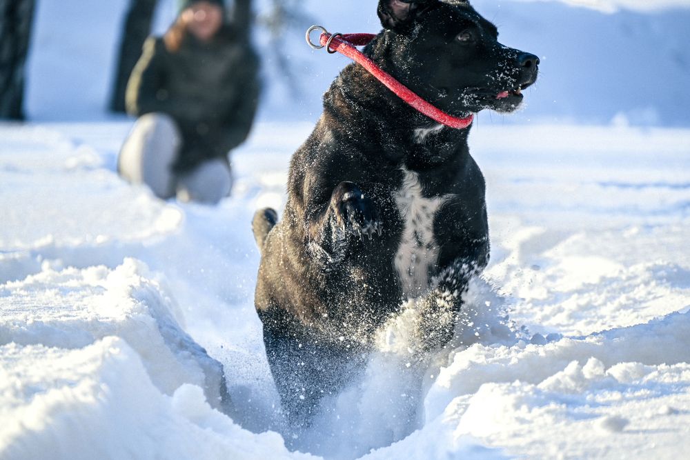 Photograph by Олег Басманов