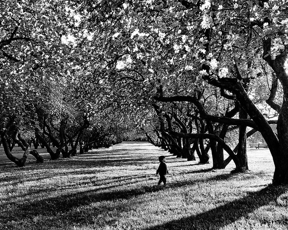 Photograph by Сергей Малашкин