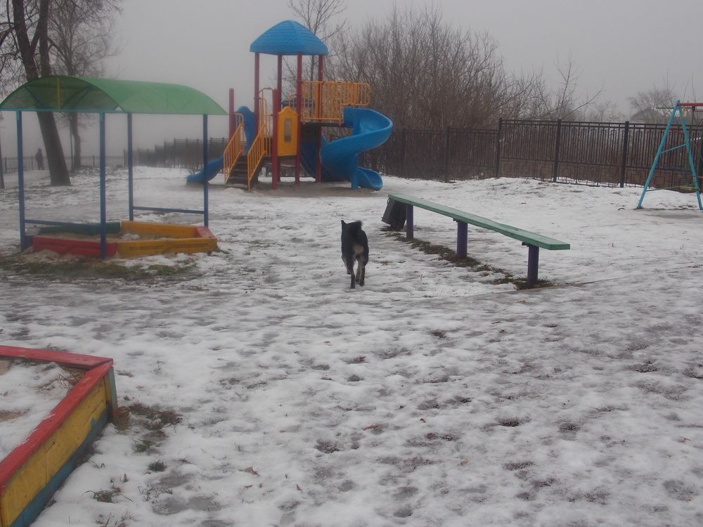 Photograph by Анастасия Кудина