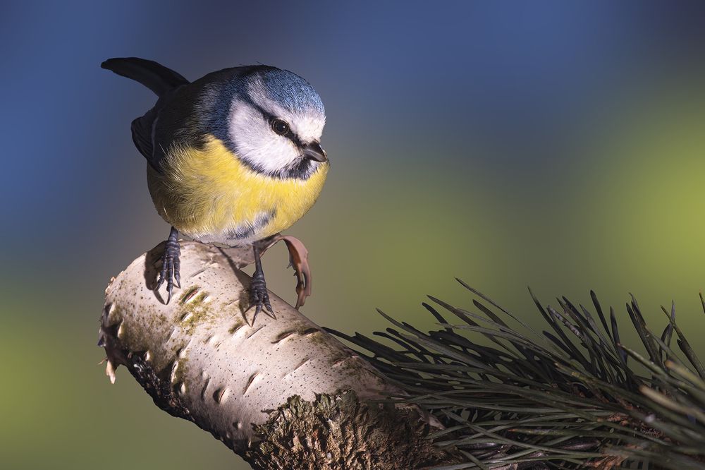 Photograph by Бурикова Екатерина