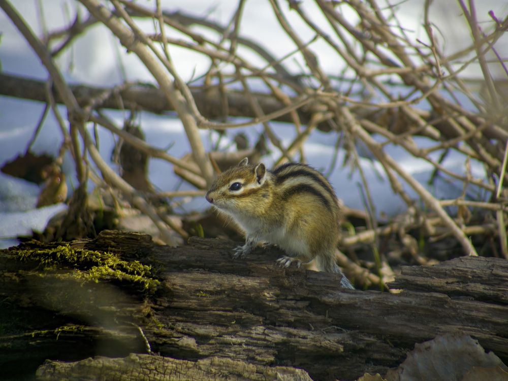 Photograph by Валерий Лунев