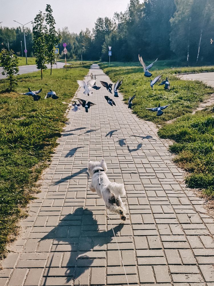 Photograph by Светлана Фоменко