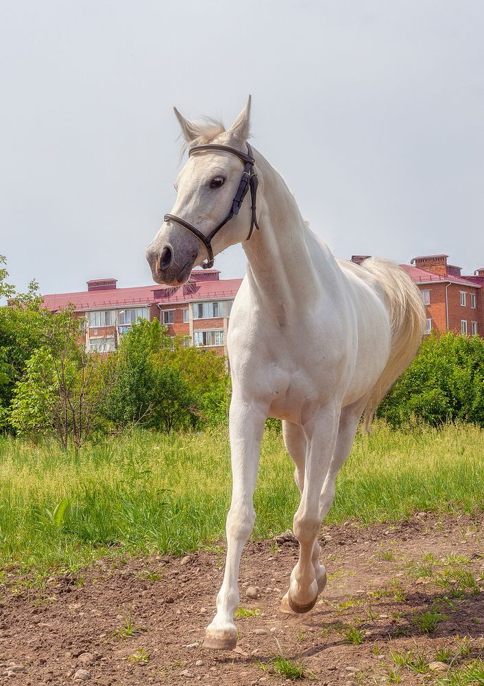 Photograph by Владимир Кваша
