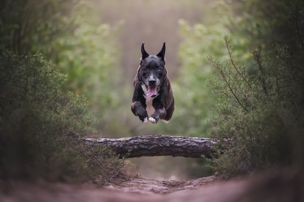 Photograph by Rut Casanellas