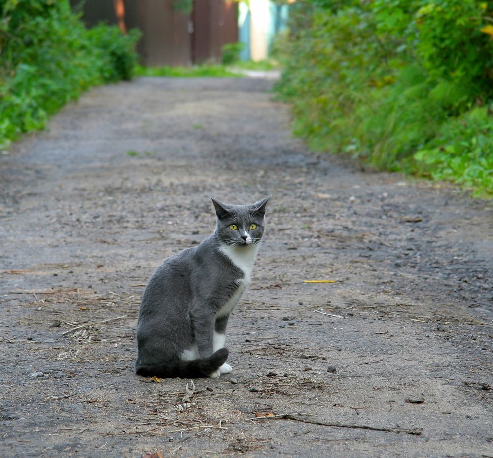 Photograph by Илья