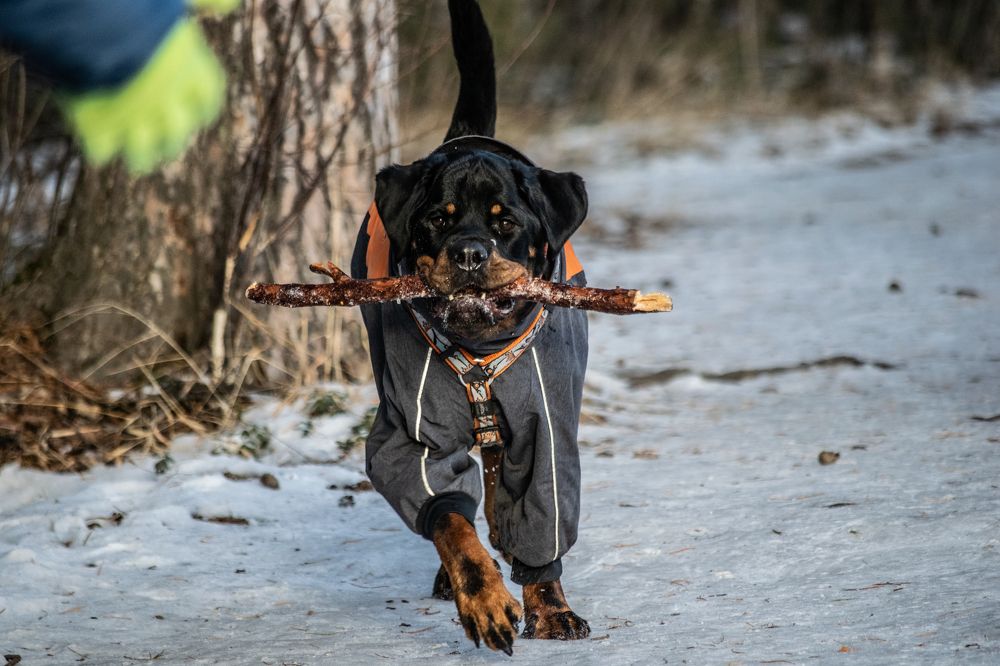 Photograph by Дмитрий Анисимов