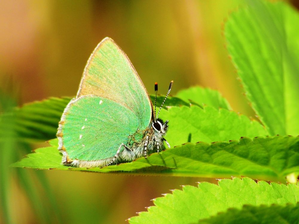 Фотография автора Владимир Соколов