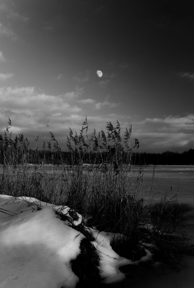 Photograph by Andrey Anikanov