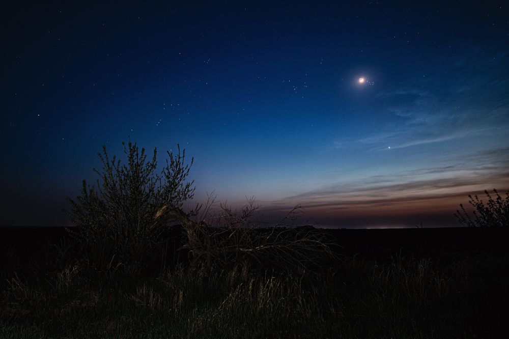 Photograph by Диденко Юрий