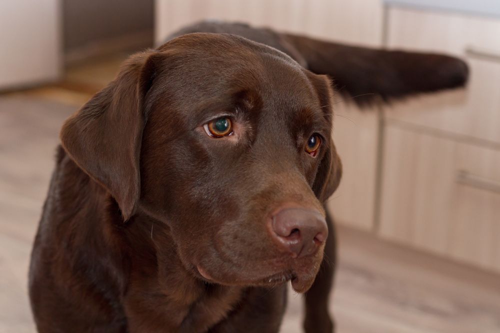 Photograph by Алексей