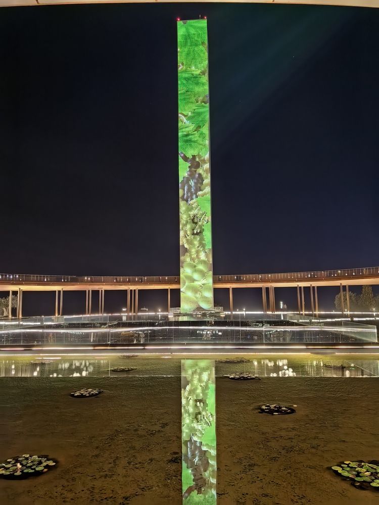 Photograph by Светлана Зыкова