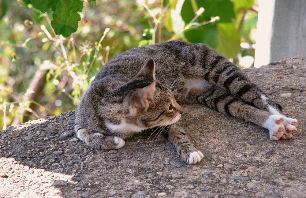 Photograph by Илья