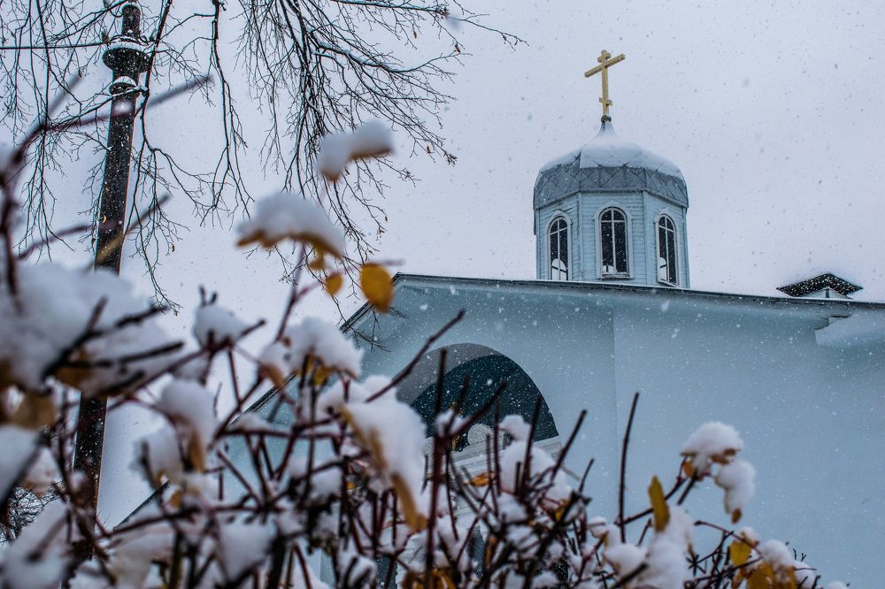 Photograph by Дмитрий Анисимов