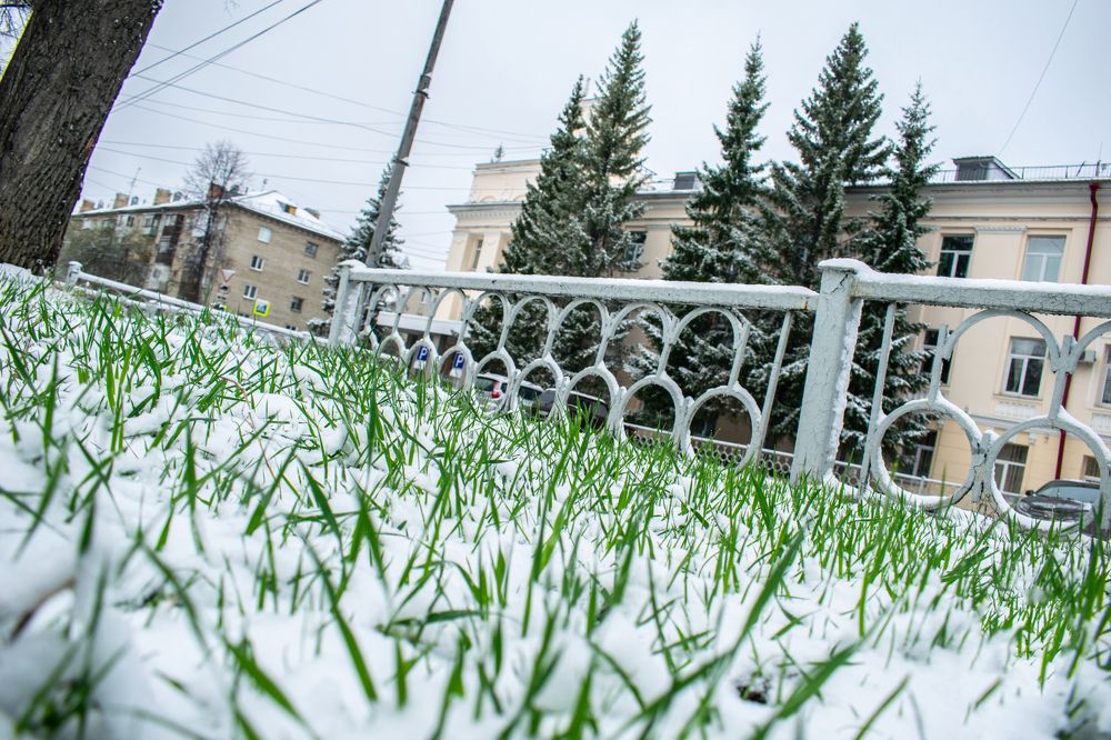 Photograph by Дмитрий Анисимов