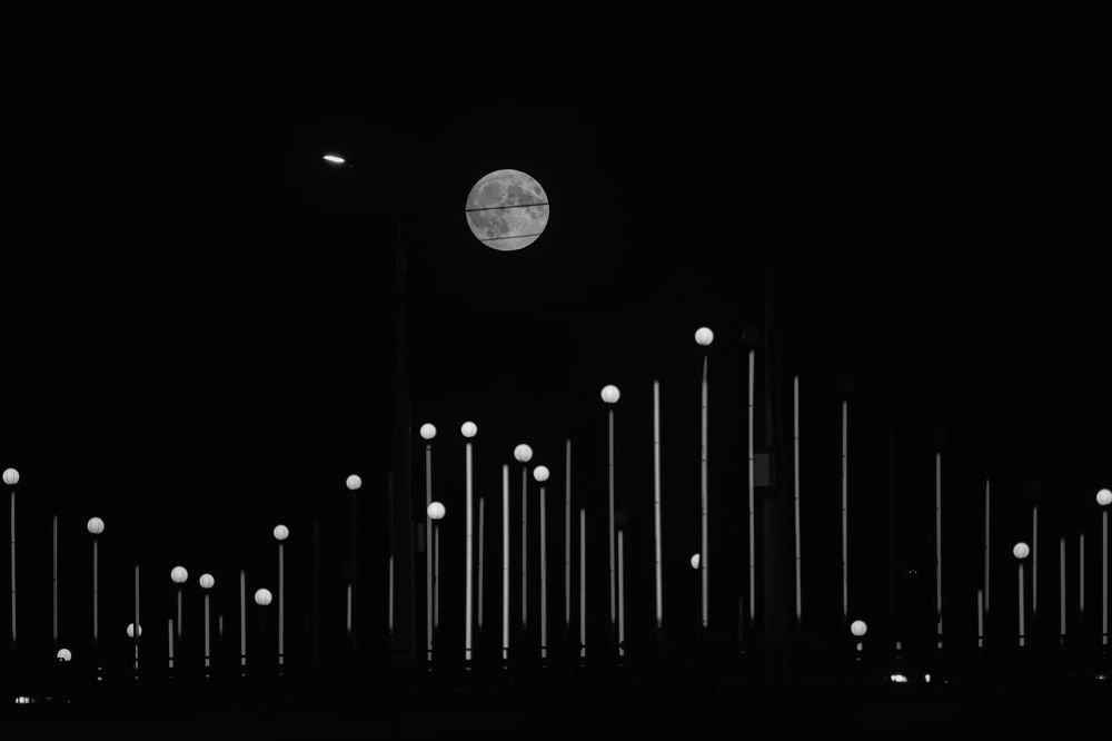 Photograph by Гайдук Евгений