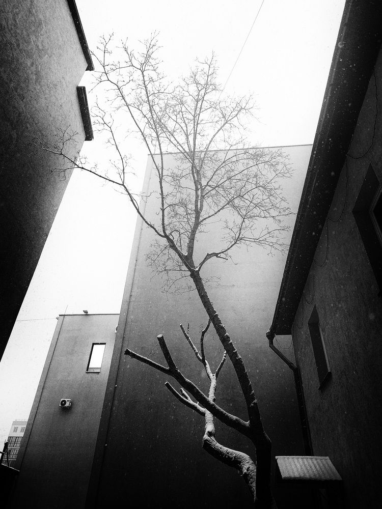 Photograph by Ирина Корпачева