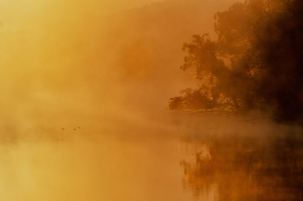 Photograph by Гайдук Евгений