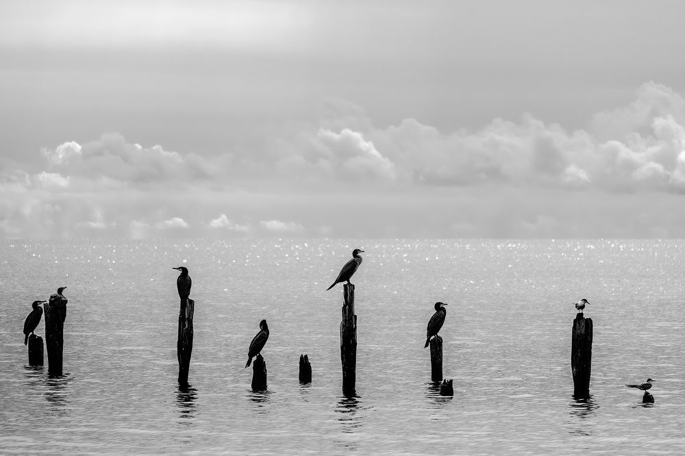 Балтийский полдень