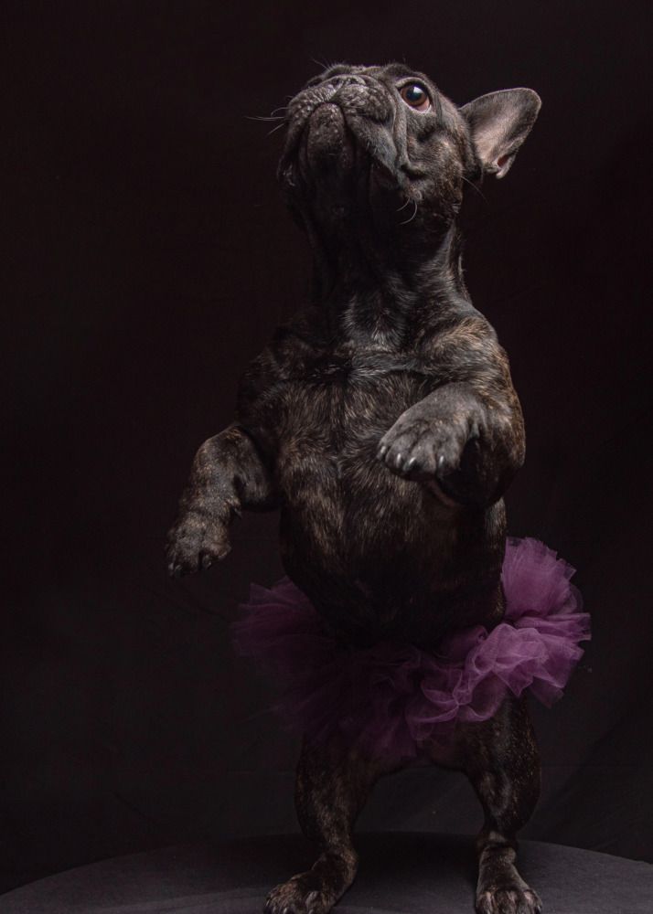 Photograph by Анна Васильева