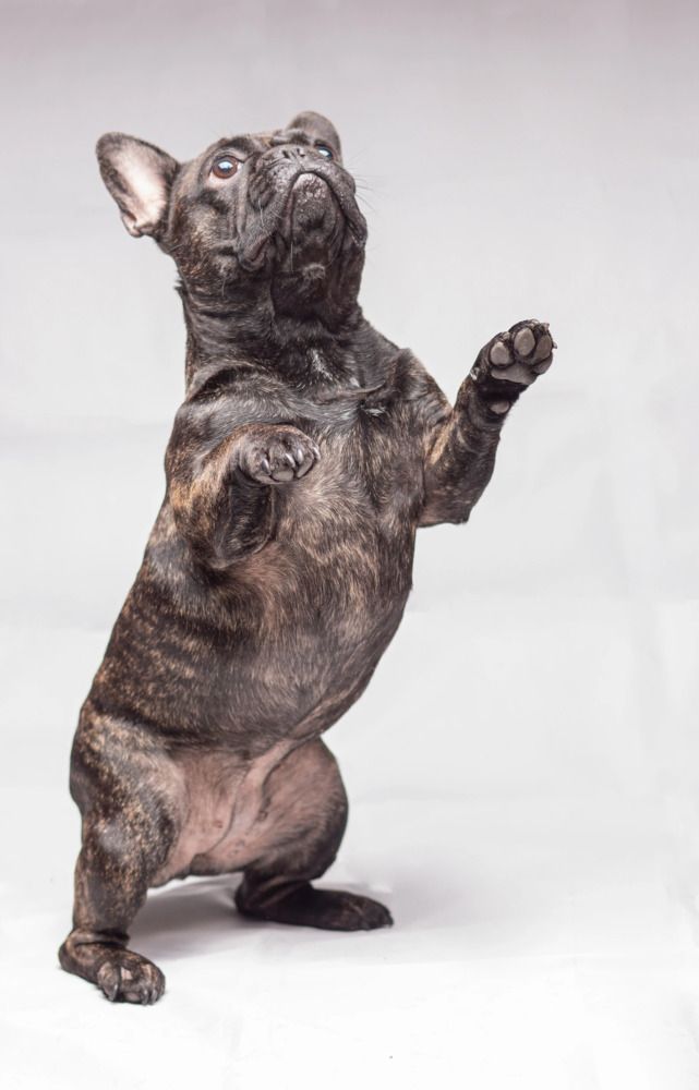 Photograph by Анна Васильева