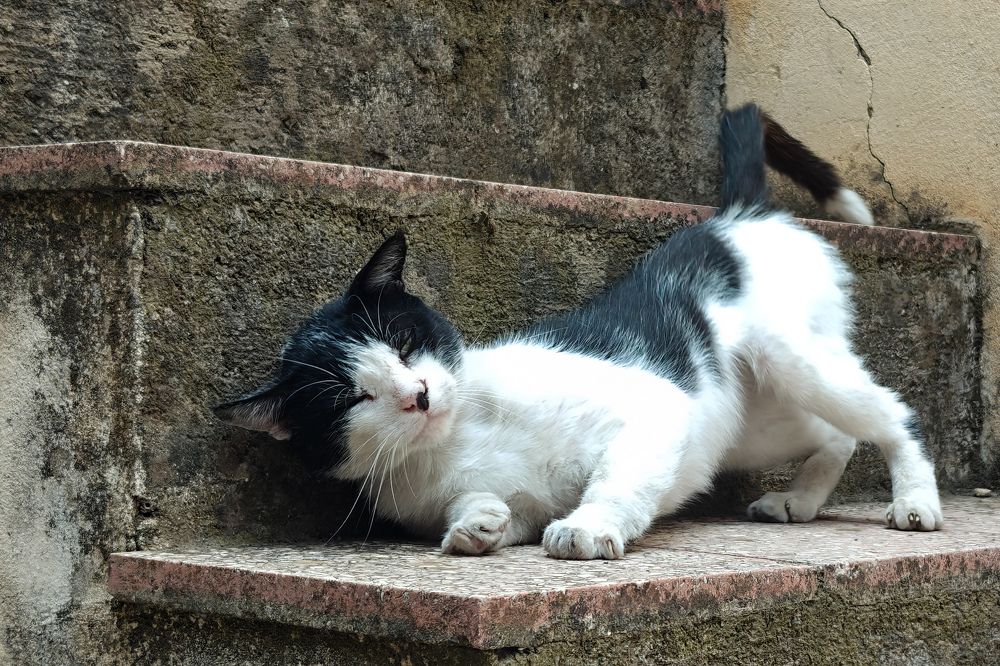 Photograph by Grădinaru Catalin