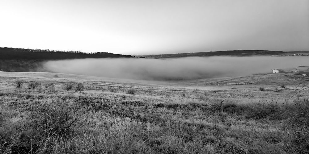 Photograph by Grădinaru Catalin