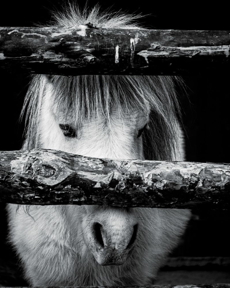 Фотография автора Сергей Рыженко