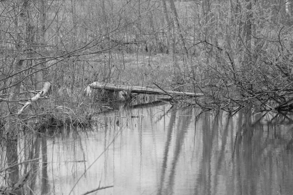 Photograph by Екатерина Александровна