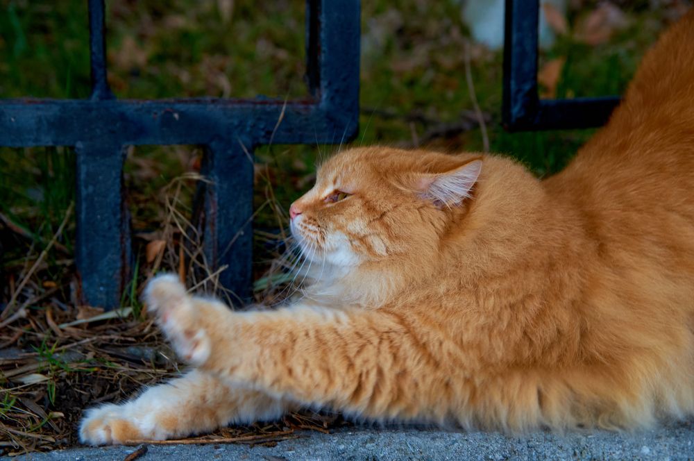 Photograph by Маргарита Яблокова