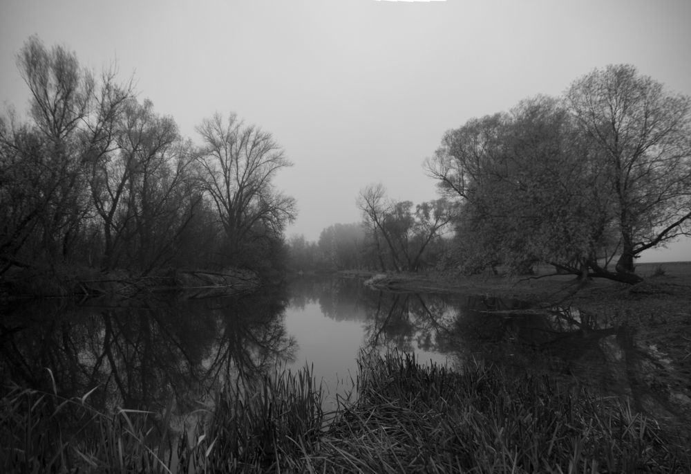 Photograph by Валерий Черняк