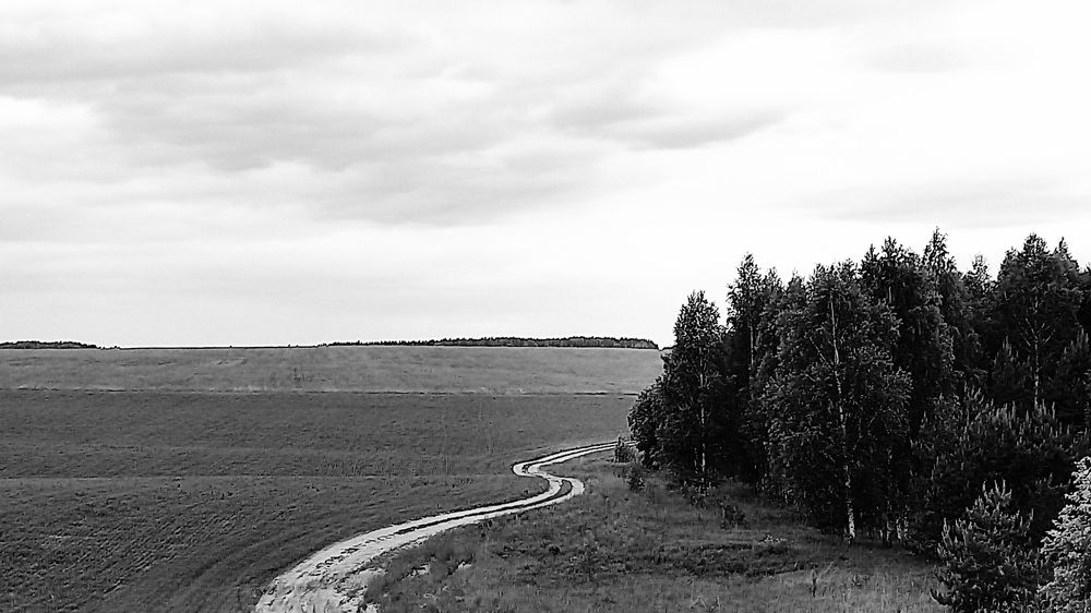 Photograph by Надежда Васильева