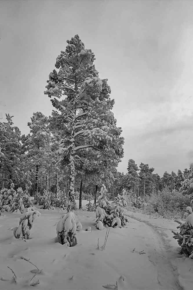 Photograph by Александр Шипиленко