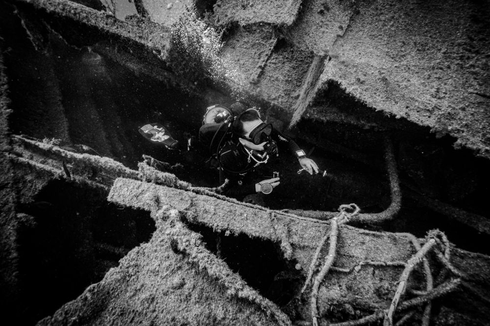 Photograph by Дмитрий Плотников