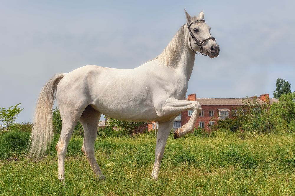 Photograph by Владимир Кваша