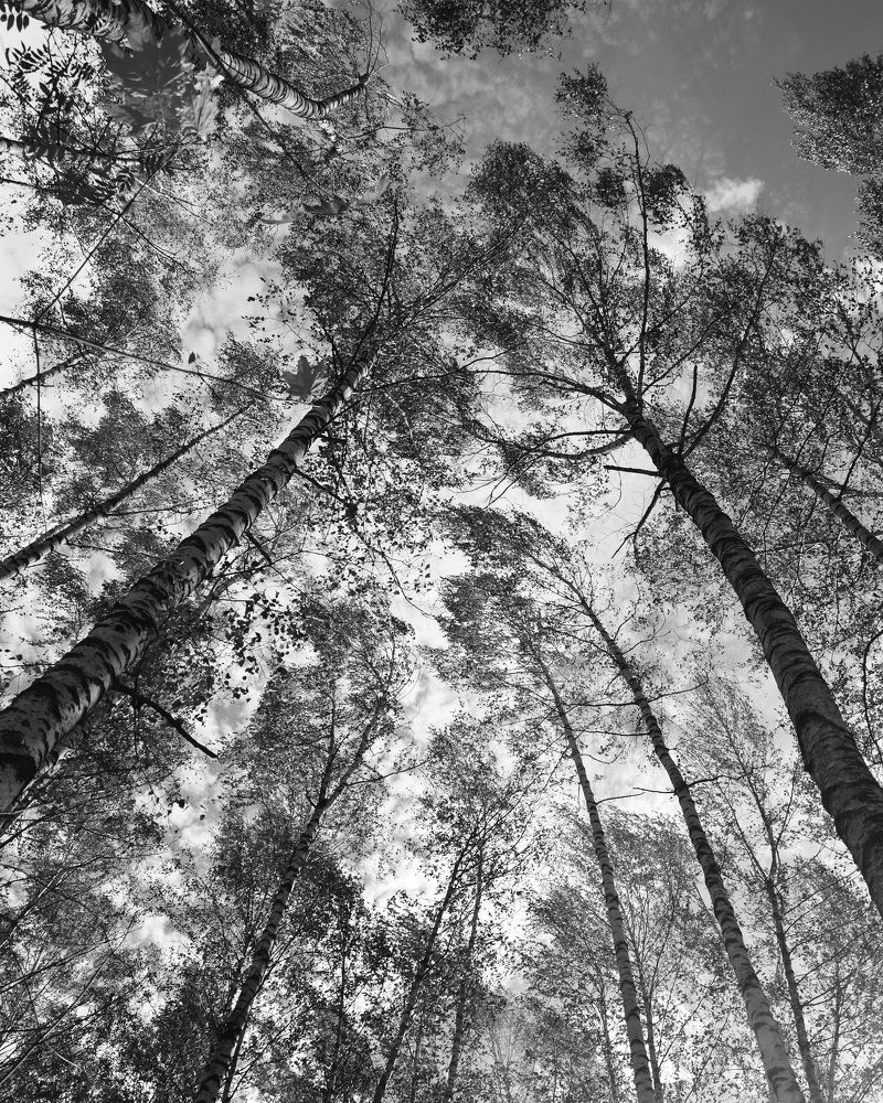 Photograph by Андрей Ушаков