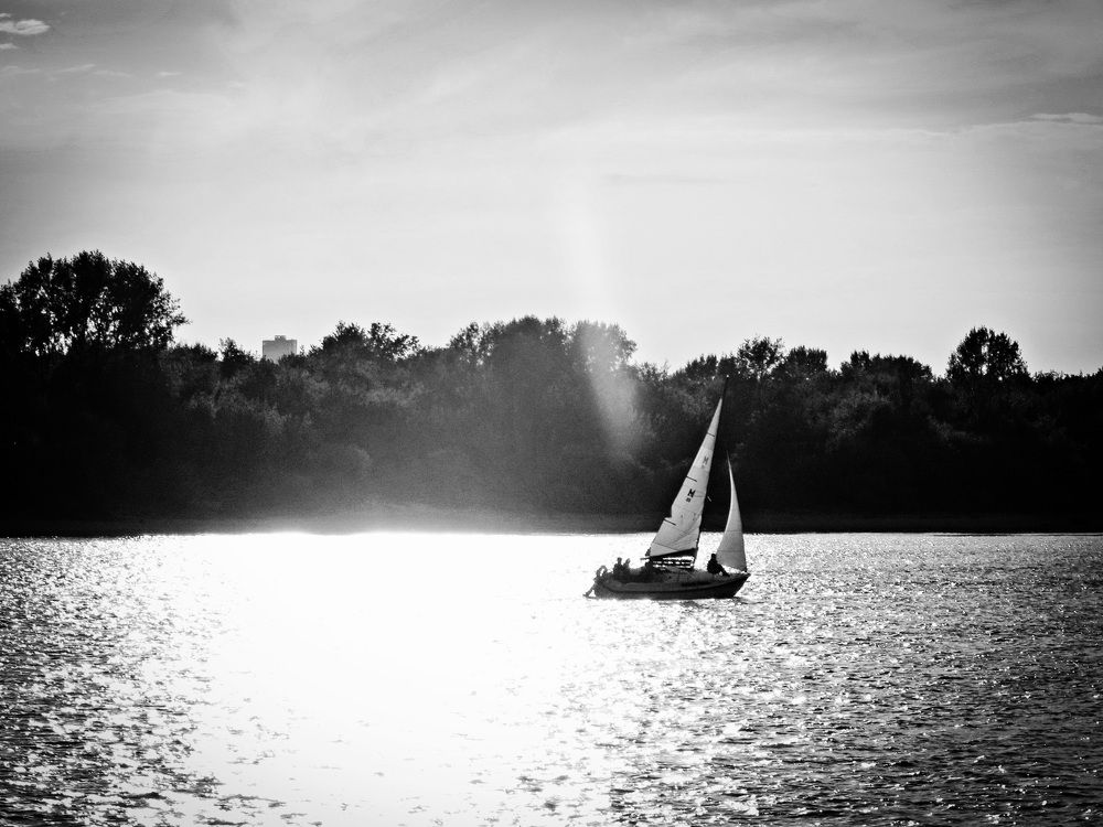 Photo #11633052