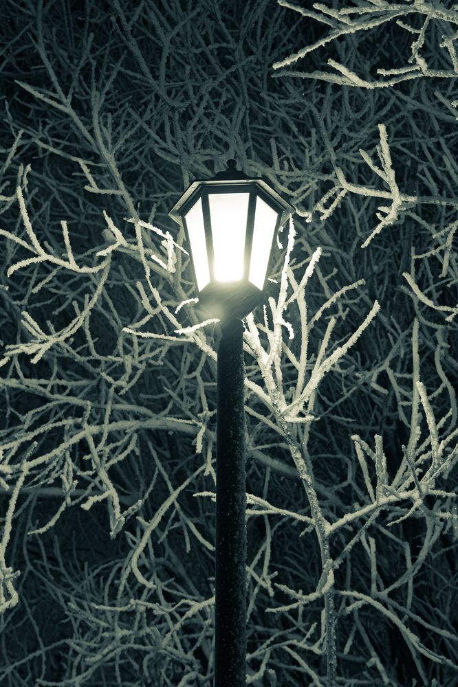 Photograph by Лактионов Анатолий